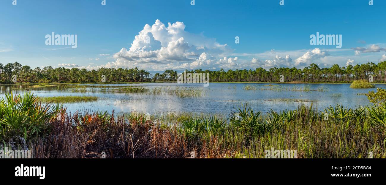 Blick auf Feuchtgebiete und Wolken am Himmel, Punta Gorda, Florida, USA Stockfoto
