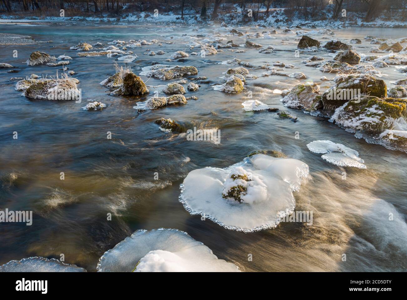 Platten von Eiskristallen auf Felsen im fließenden Fluss Isar In der Nähe von München an kalten nebligen Wintertag Stockfoto