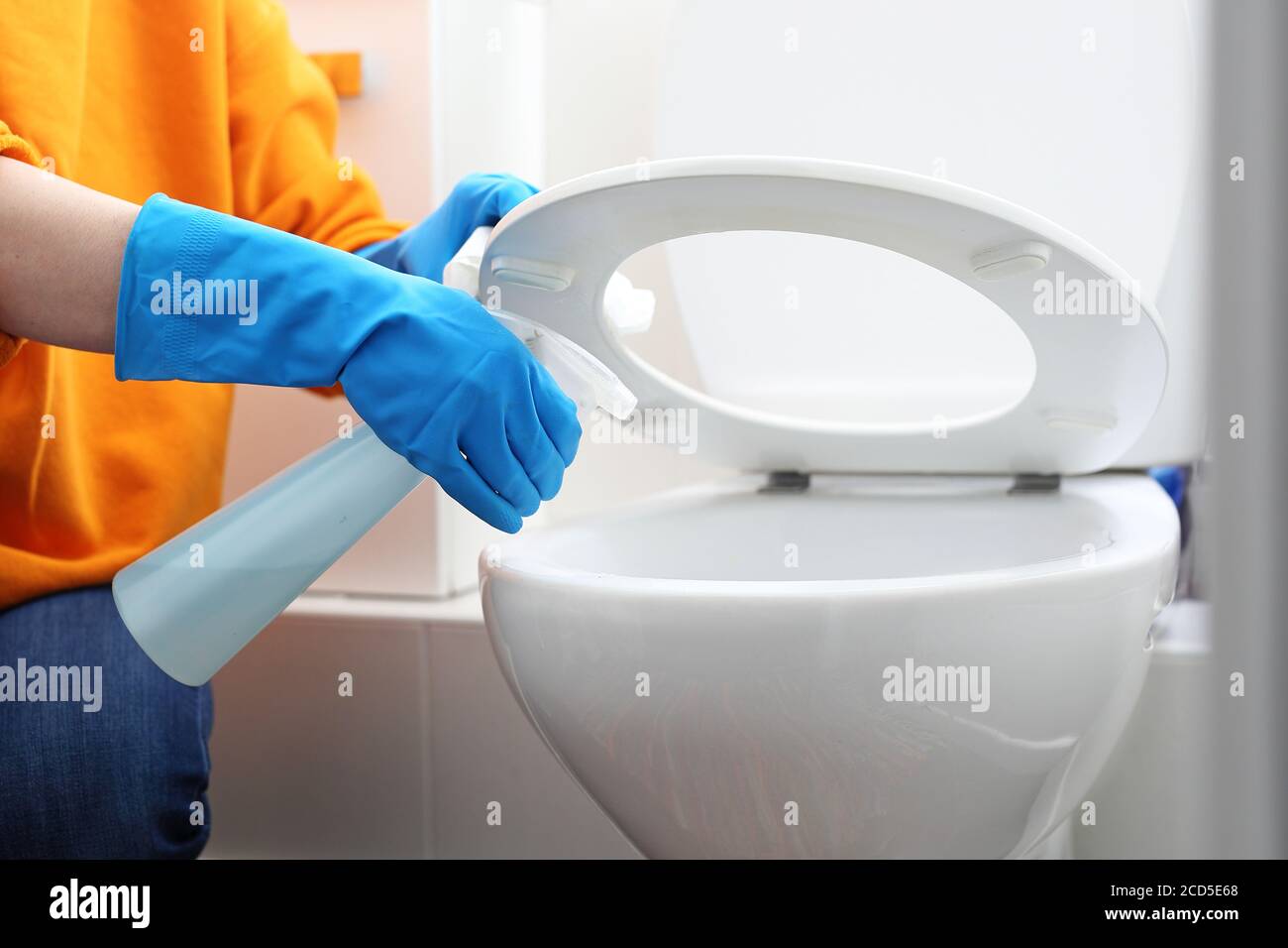 Desinfektion der Toilettenschüssel, Reinigung der Toilette. Reinigung der Toilette. Toilettenreinigung und Desinfektion. Eine Frau reinigt die Toilette mit einem Desinfektionsmittel Stockfoto