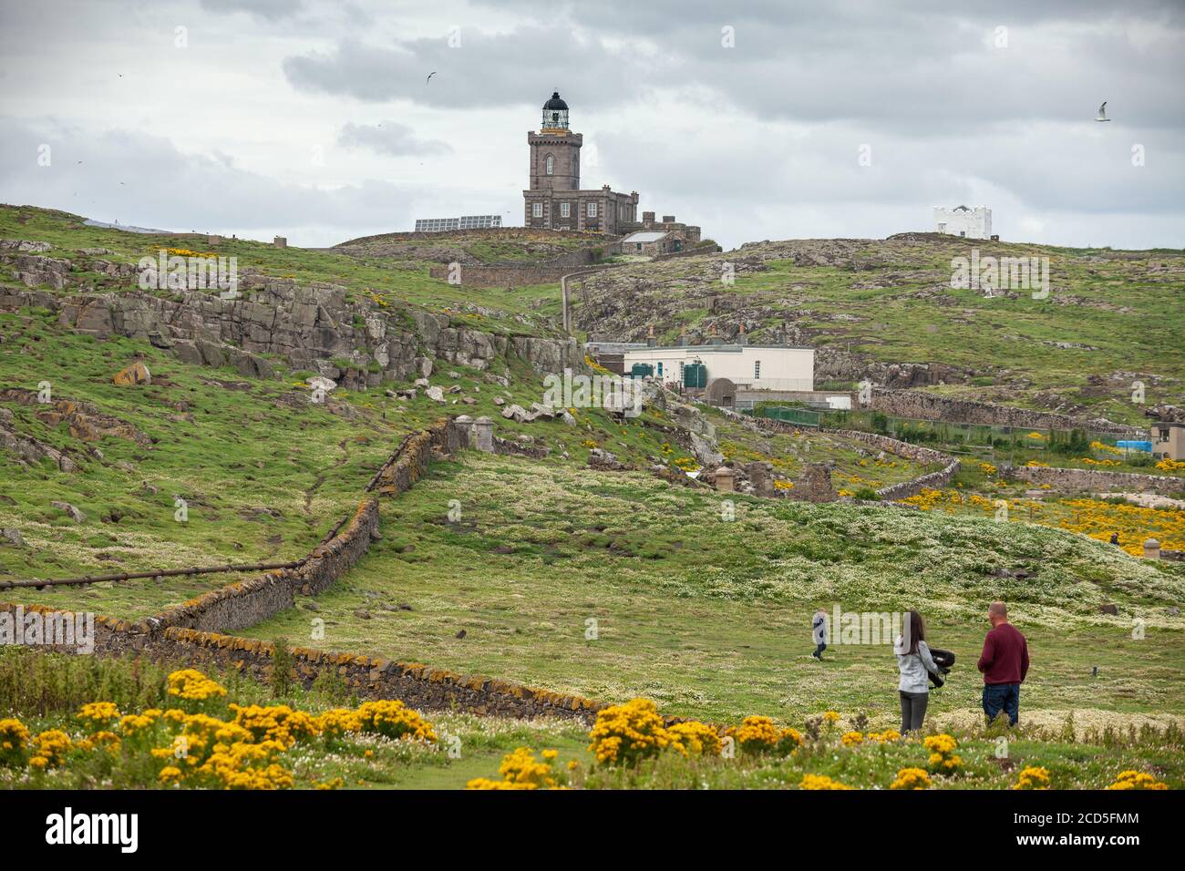 Robert Stevensons Leuchtturm auf der Isle of May, Schottland. Stockfoto