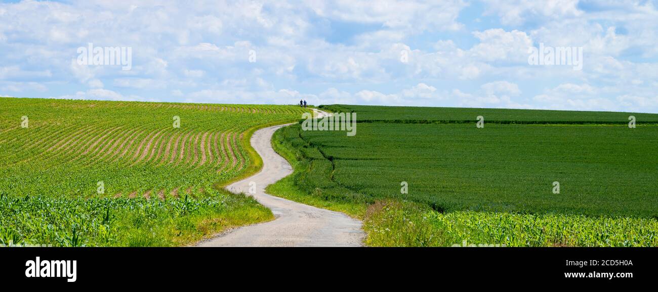 Straße durch grüne Landschaft im ländlichen Raum Stockfoto