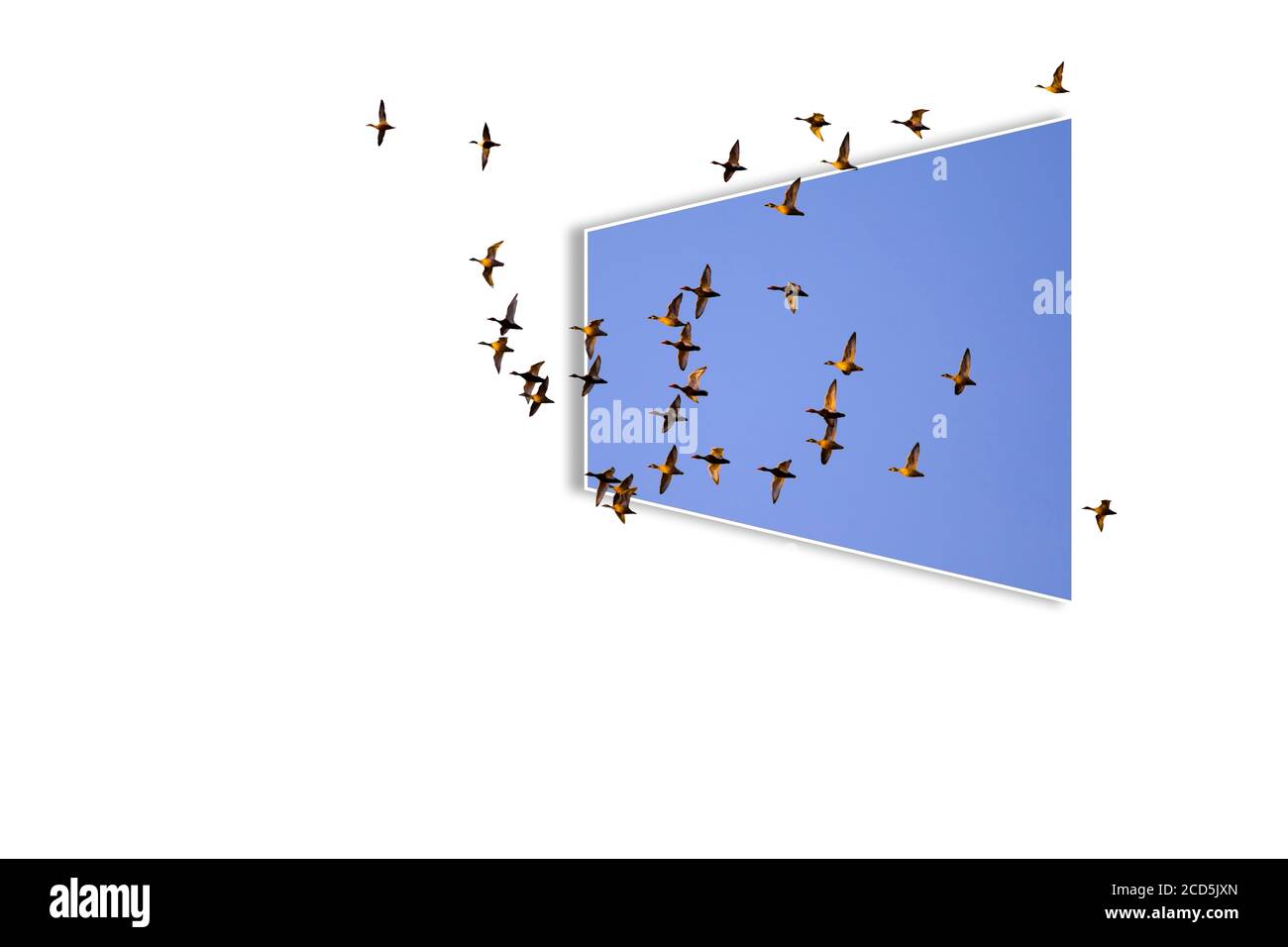 Surreales Bild der Natur. Abstrakte Bilder. Weißer Hintergrund. Stockfoto