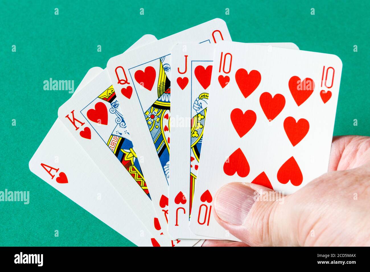 Eine männliche Hand hält einen Royal Flush, ein Straight Flush auf das Ass, die höchste Hand im Poker Stockfoto