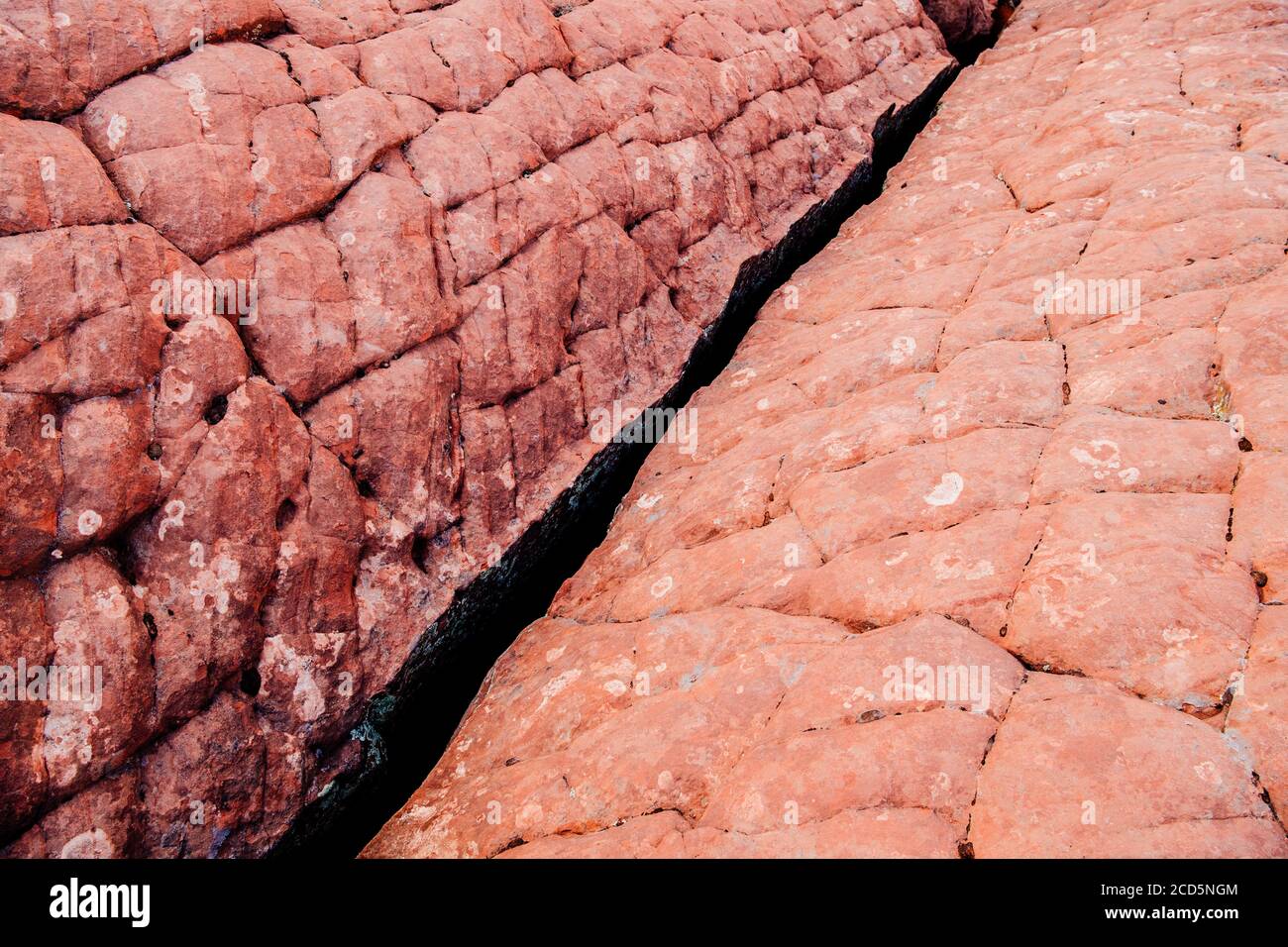Nahaufnahme von Red Rock, Snow Canyon State Park, Ivins, Southwestern Washington County, Utah, USA Stockfoto