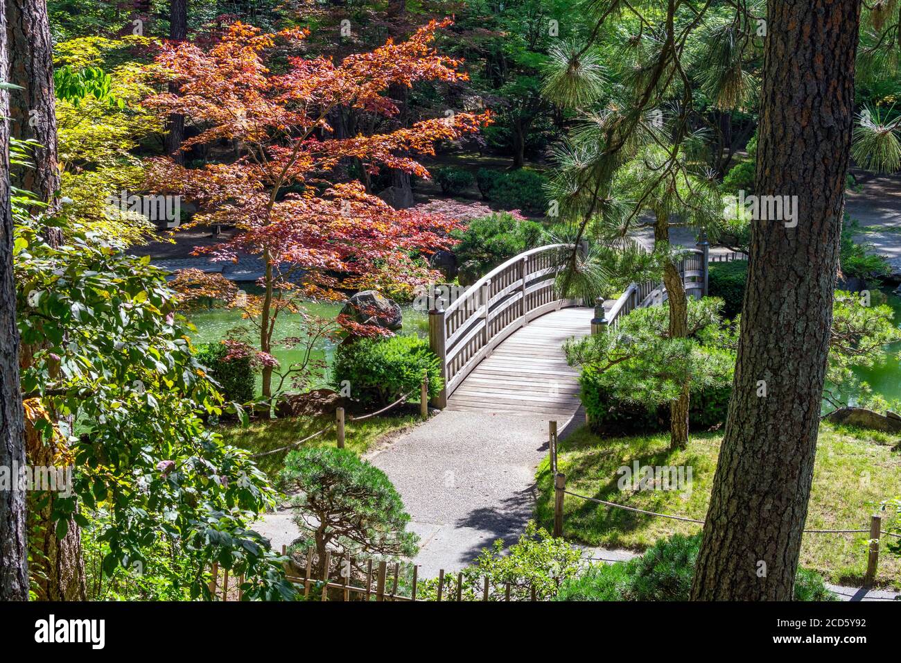 Die hölzerne Fußgängerbrücke in den Japanischen Gärten Ausstellung in Manito Park, Spokane, Washington, USA Stockfoto