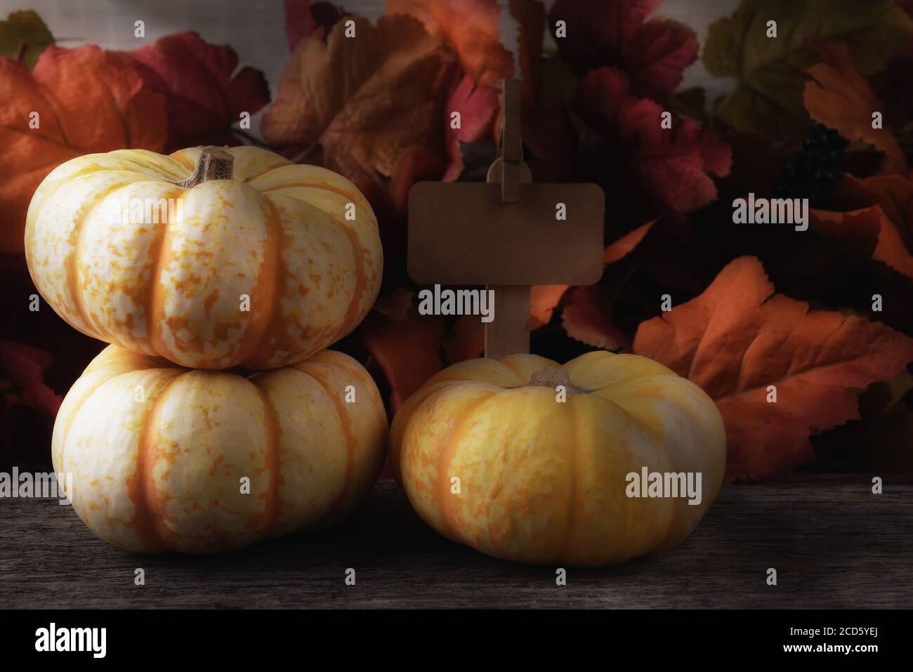 WRM Seitenlicht auf einem Autumn Farm Stand mit drei weißen Kürbissen blanko Preisschild und Herbstblättern. Stockfoto