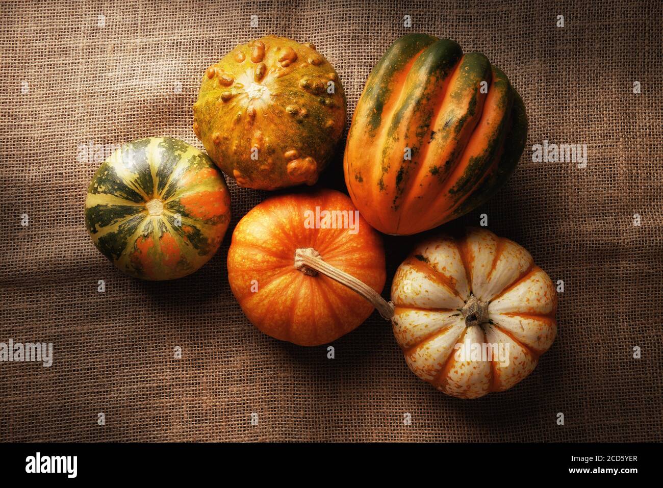 Flache Aufnahme einer Gruppe von Herbstkürbissen, Kürbis und Kürbissen auf Sackleinen mit warmem Seitenlicht. Stockfoto