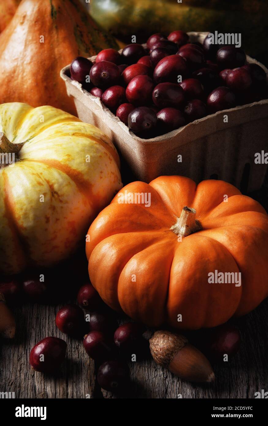 Autumn Still Life: Vertikaler Schuss mit dekorativen Kürbissen Kürbisse und Korb mit frischen Preiselbeeren, mit warmem Seitenlicht. Stockfoto