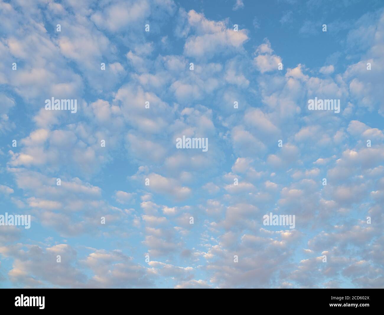 Wolken und blauer Himmel, Venedig, Florida, USA Stockfoto