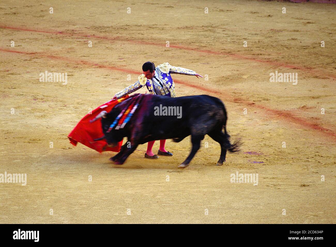 Stierkampf, Sevilla, Andalusien, Spanien Stockfoto