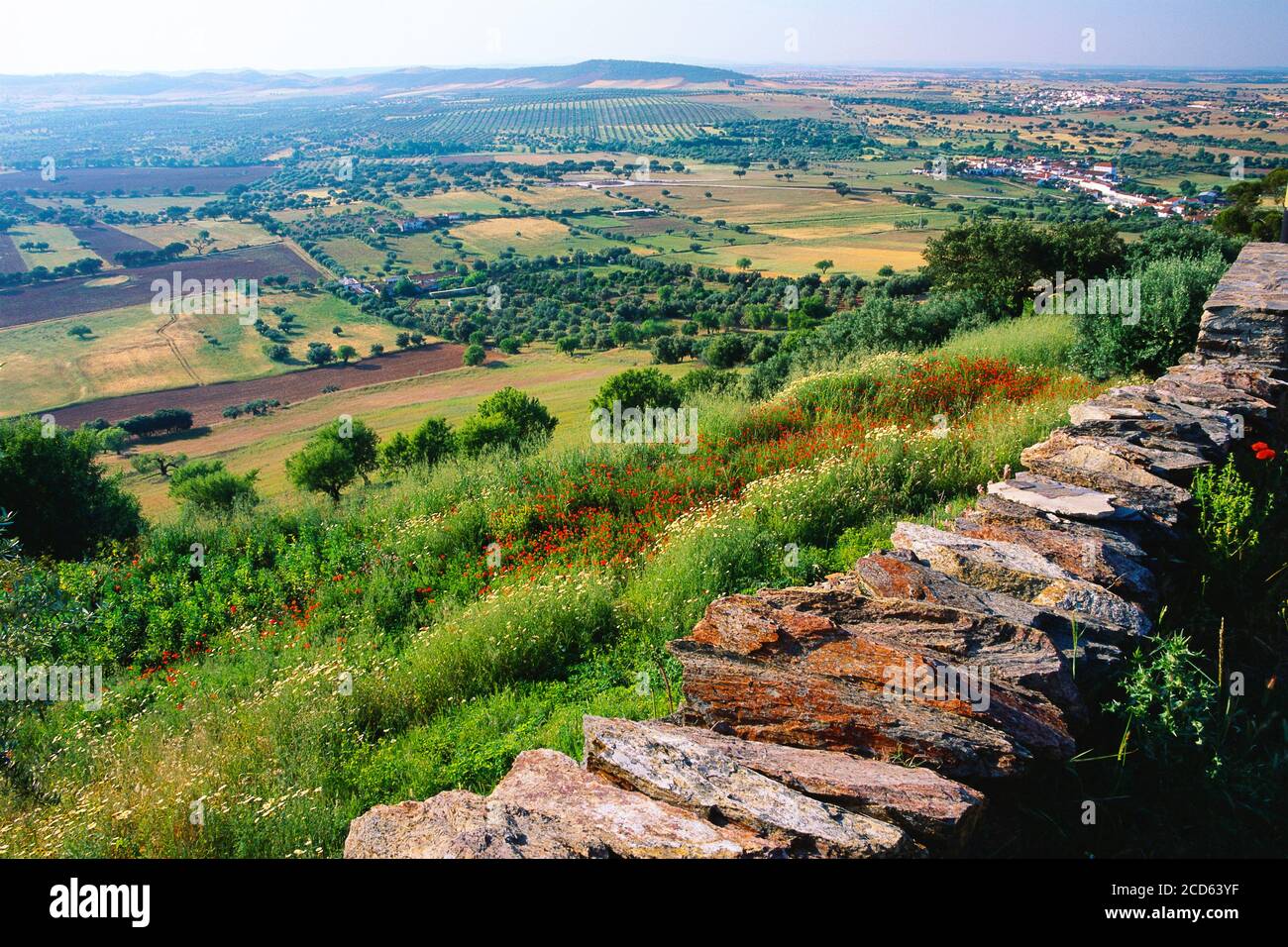 Landschaft mit landwirtschaftlichen Feldern, Monsaraz, Bezirk Evora, Portugal Stockfoto