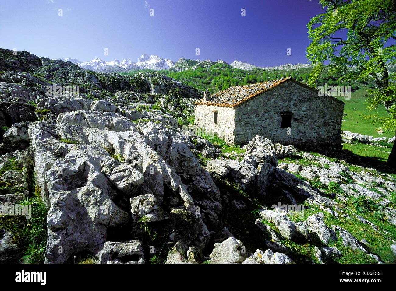 Steinhaus und felsige Landschaft, Nationalpark Picos de Europa, Spanien Stockfoto