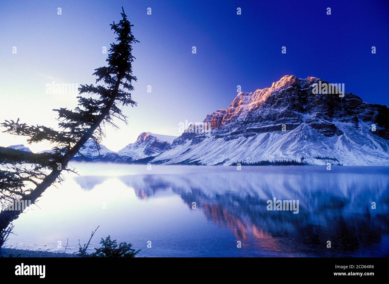 Landschaft mit Bow Lake im Winter, Banff National Park, Alberta, Kanada Stockfoto