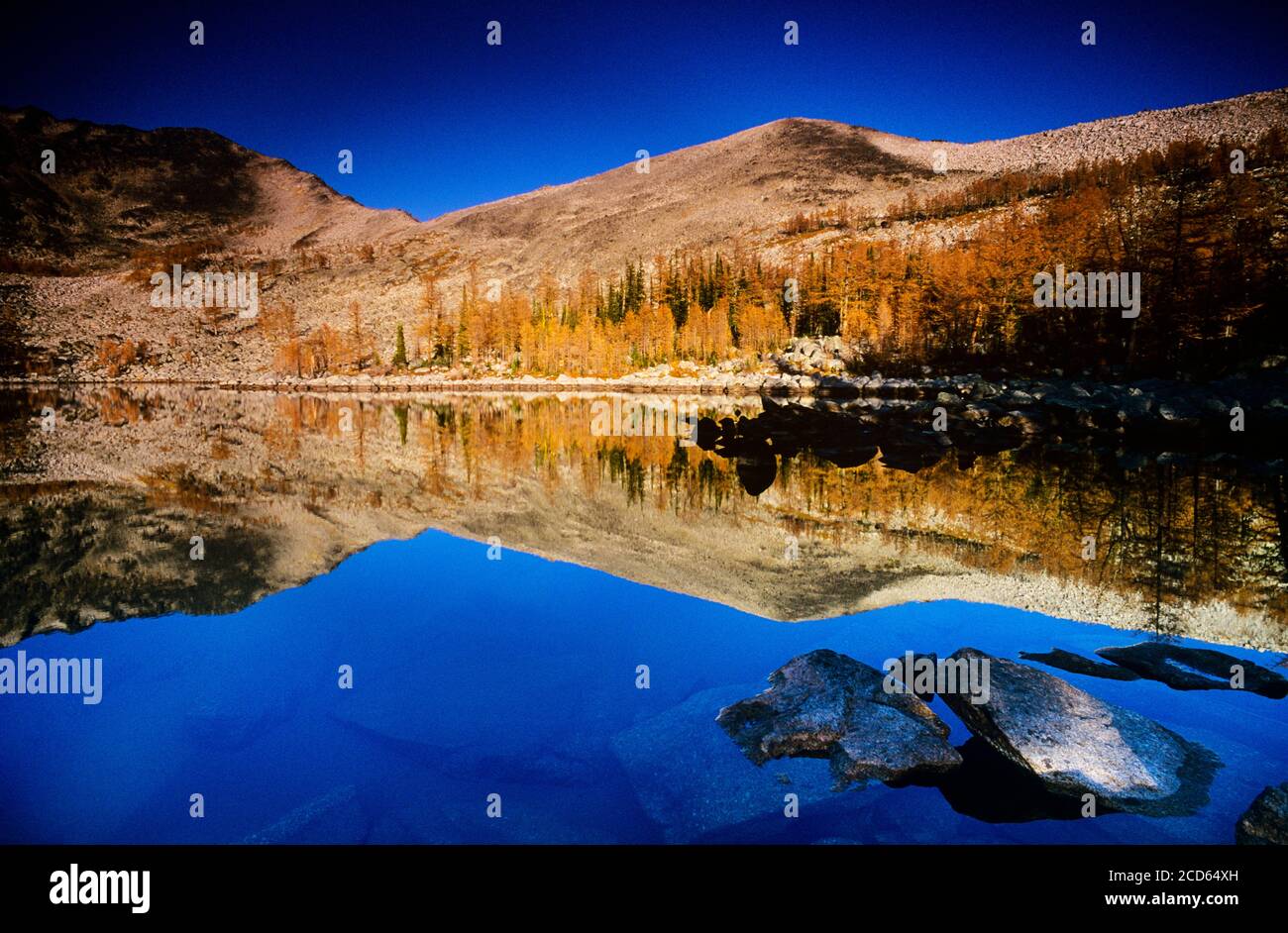 Landschaft mit See, Bäumen und Hügeln im Herbst, Saint Marys Alpine Park, British Columbia, Kanada Stockfoto