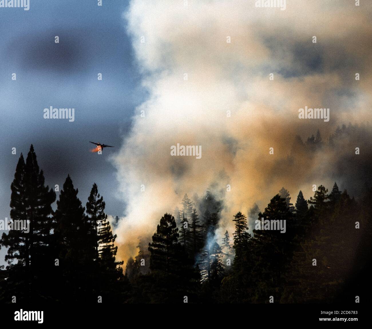 Wilde Feuer in Kalifornien Stockfoto