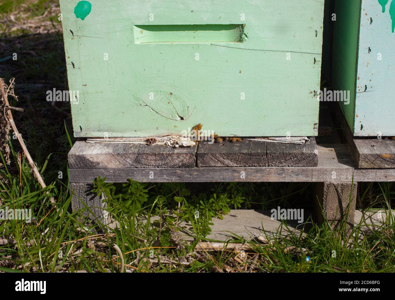 Neuseeländische Landschaftsszenen: Bienenstöcke in Paddocks. Stockfoto