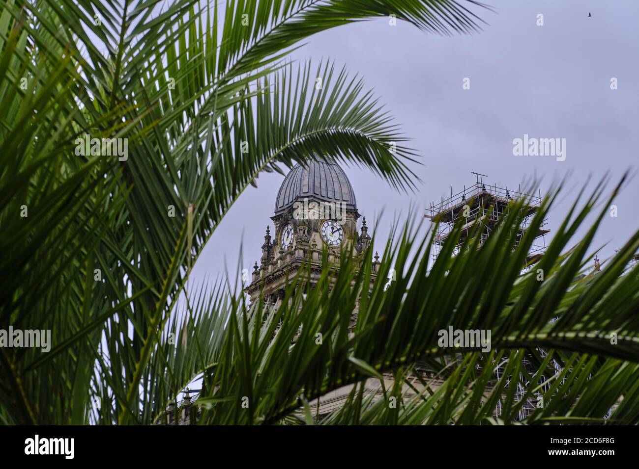 LEEDS, VEREINIGTES KÖNIGREICH - Jul 15, 2020: Horizontale Aufnahme des rathausturms im stadtzentrum von leeds, aufgenommen zwischen Palmenblättern Stockfoto