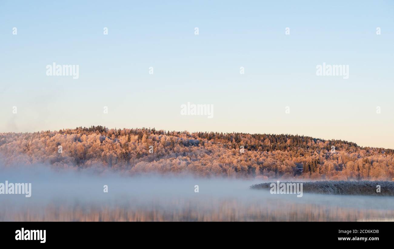 Nebel, Sonnenaufgang, tanzende Feen schaffen eine verträumte Szene. Schöner Morgen im Morgengrauen Stockfoto