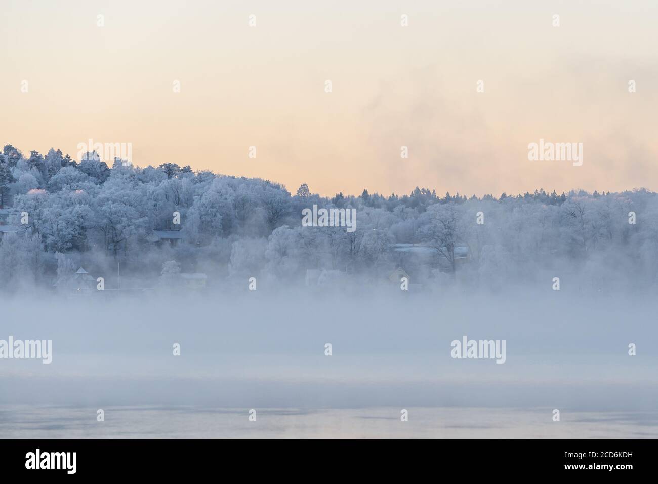 Nebel, Sonnenaufgang, tanzende Feen schaffen eine verträumte Szene. Schöner Morgen im Morgengrauen Stockfoto