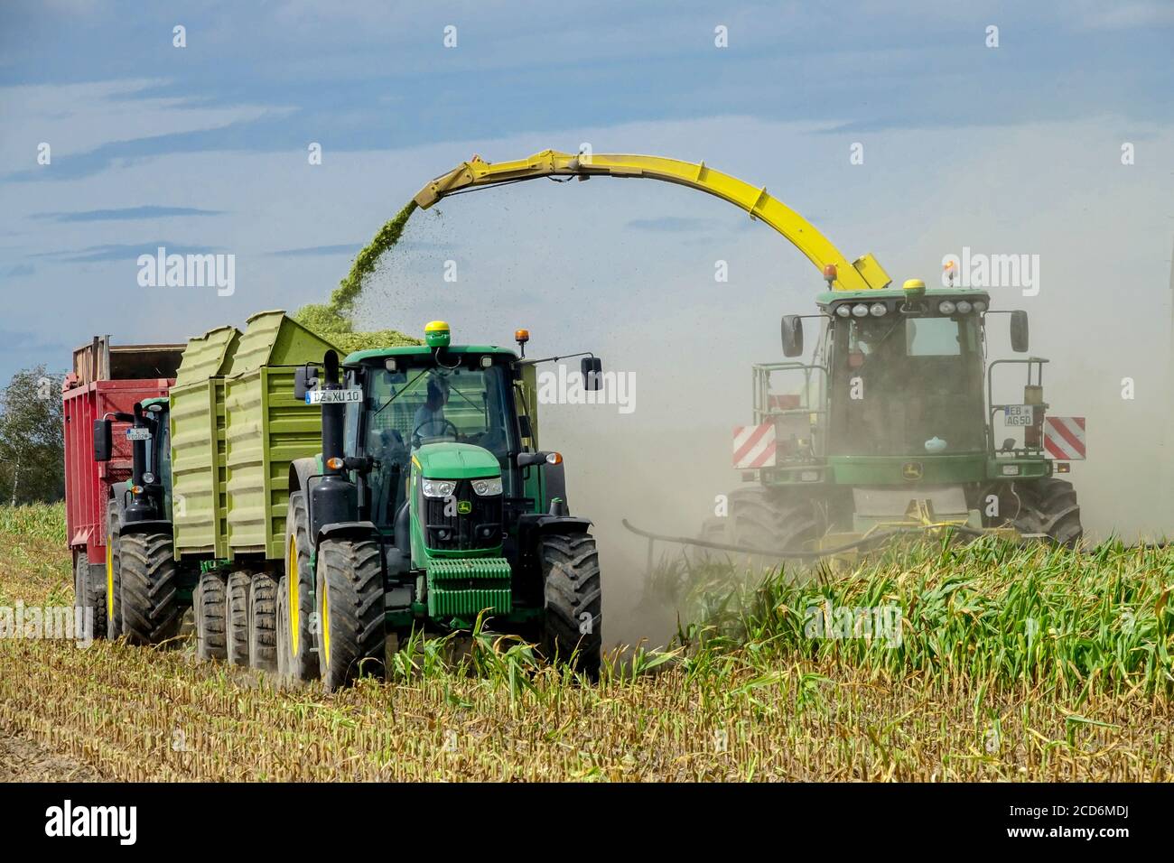 Maisernte. Mähdrescher arbeitet auf einem Maisfeld. Die Maissilage wird direkt in einen Traktor-Anhänger gepumpt Deutschland Landwirtschaft Deutschland Landwirtschaft Stockfoto