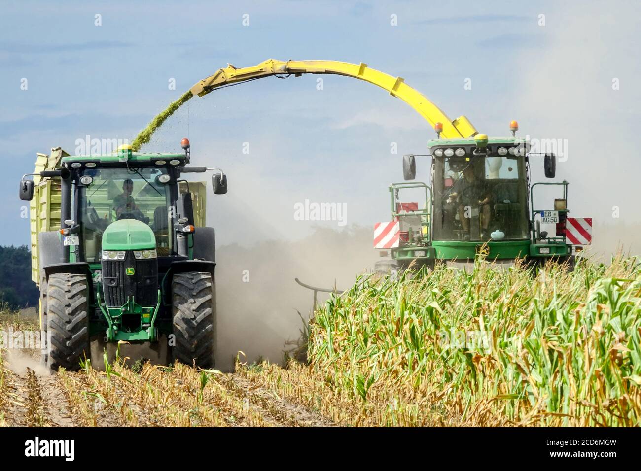 Landwirtschaft, Maisernte. Mähdrescher arbeitet auf einem Maisfeld. Deutschland Landwirt Europa Stockfoto