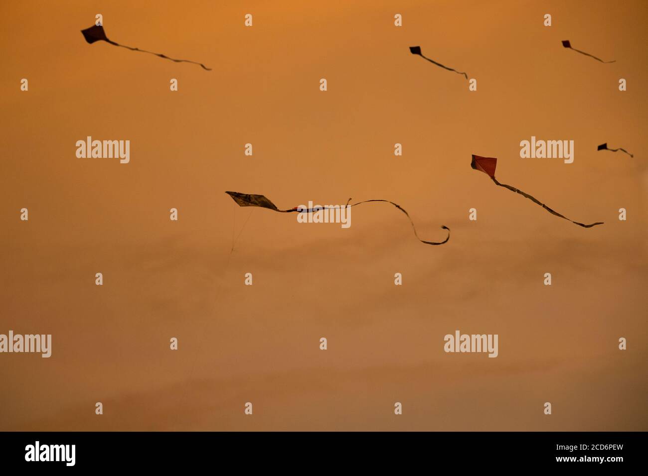 Kleine drachen -Fotos und -Bildmaterial in hoher Auflösung – Alamy