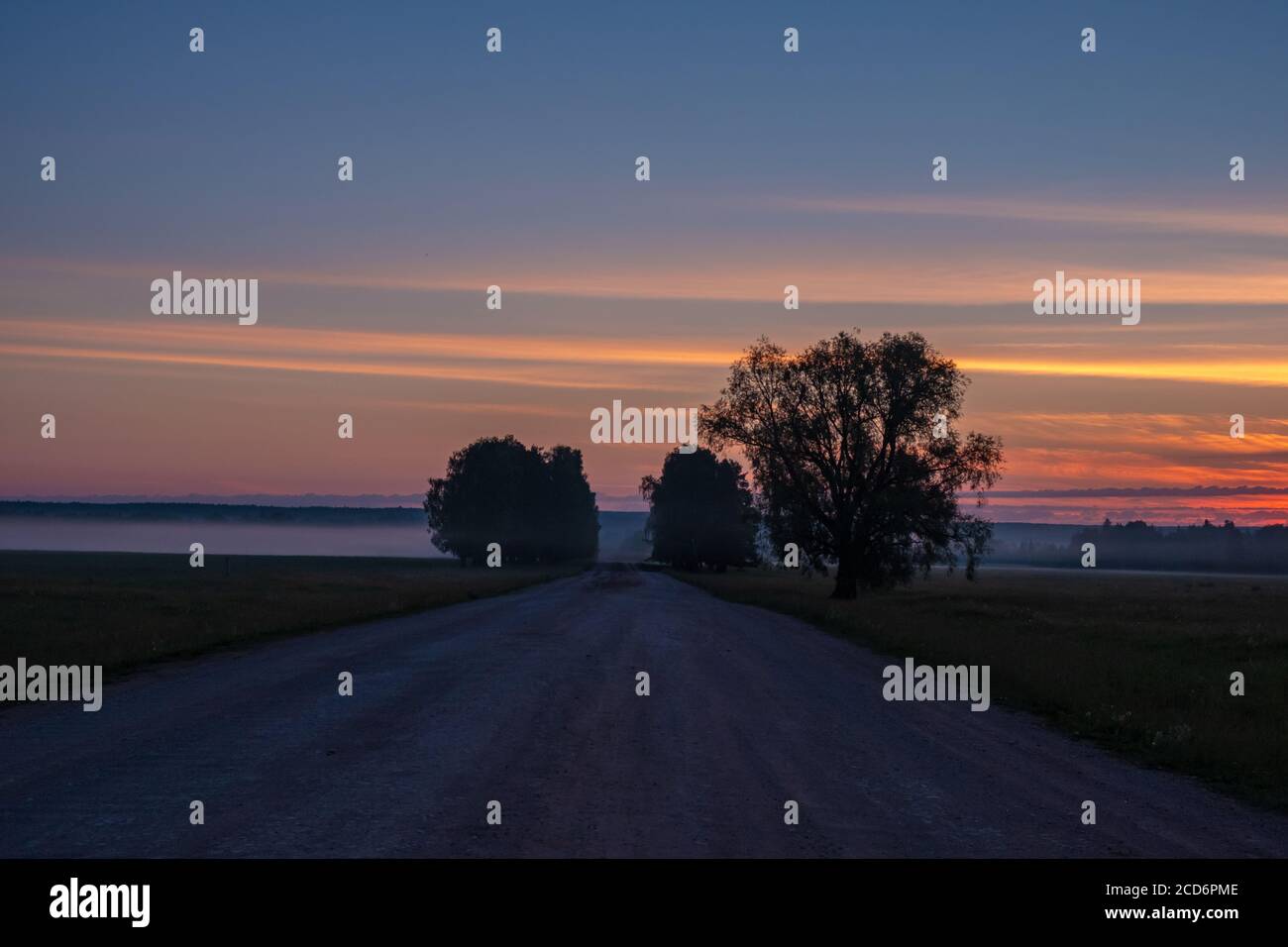 Unbefestigte Straße tief im Wald. Ein Sonnenuntergang. Stockfoto