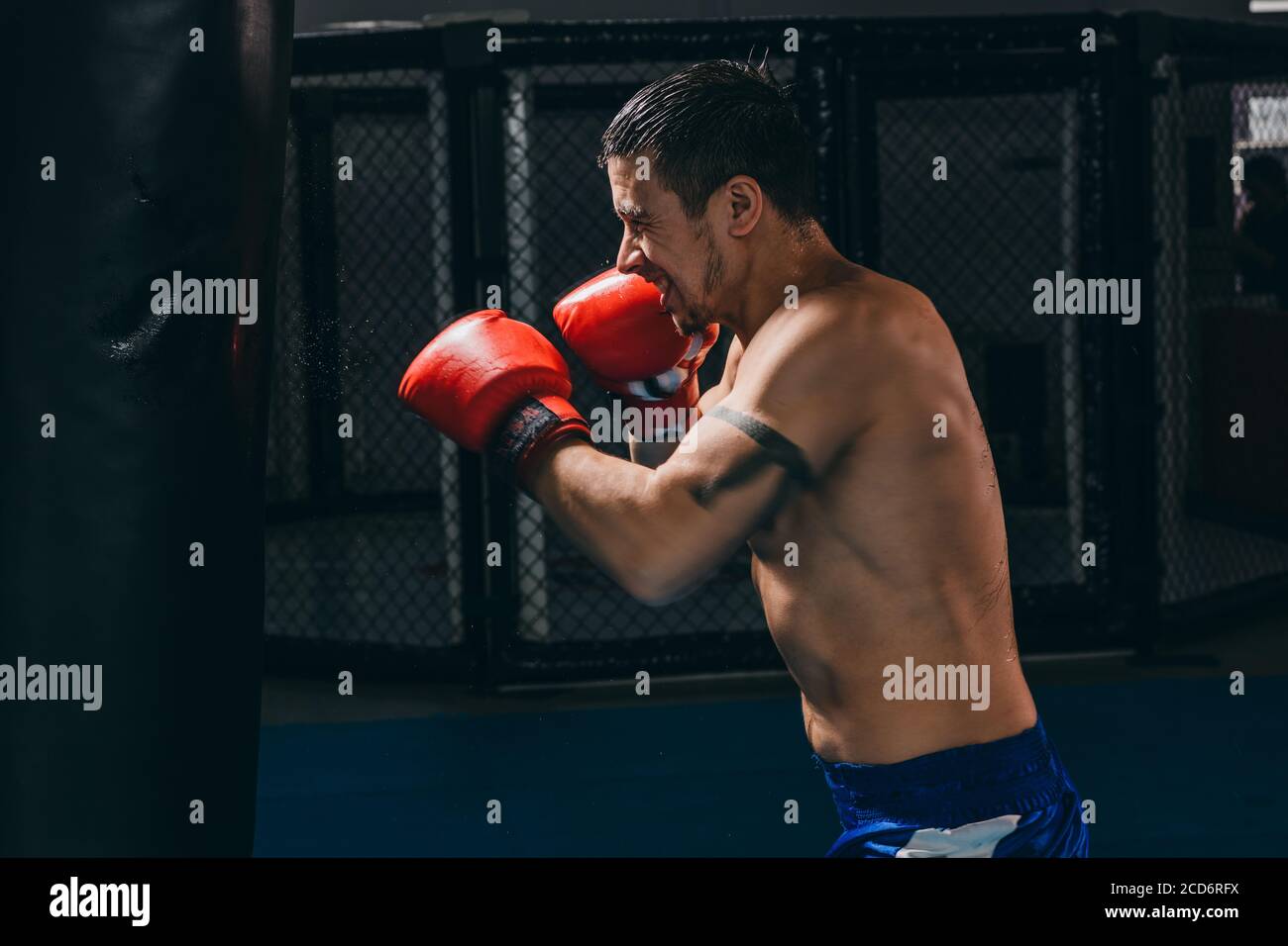 Muskulös hart arbeitende Kämpfer in roten Boxhandschuhen üben mit Boxsack,  Trainingsstärke und Ausdauer. Das Konzept von Sport, Boxen und Ma  Stockfotografie - Alamy