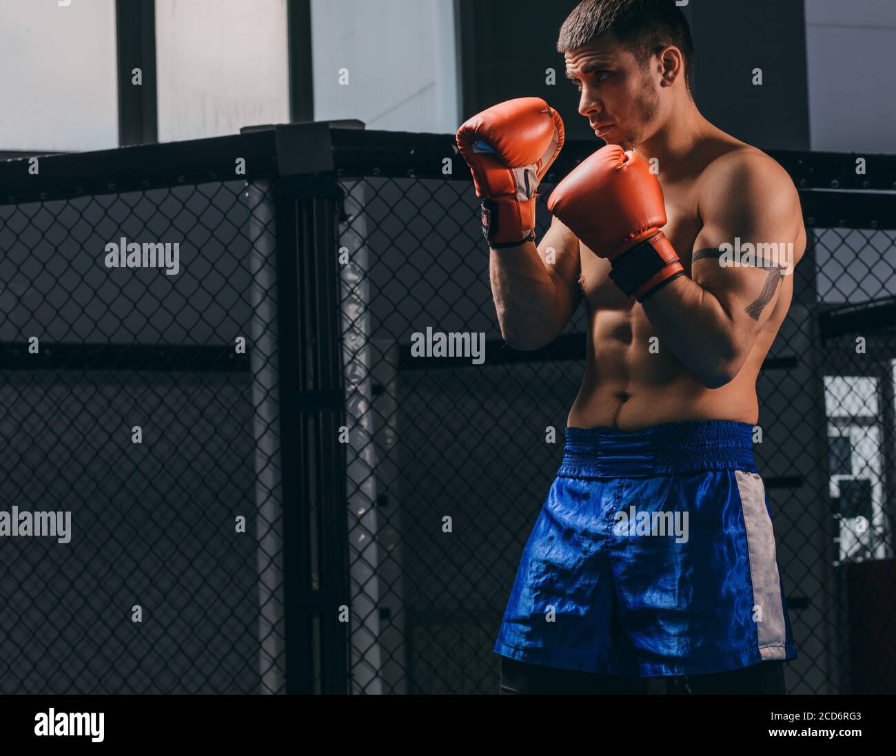 Muskulös hart arbeitende Kämpfer in roten Boxhandschuhen üben mit Boxsack,  Trainingsstärke und Ausdauer. Das Konzept von Sport, Boxen und Ma  Stockfotografie - Alamy