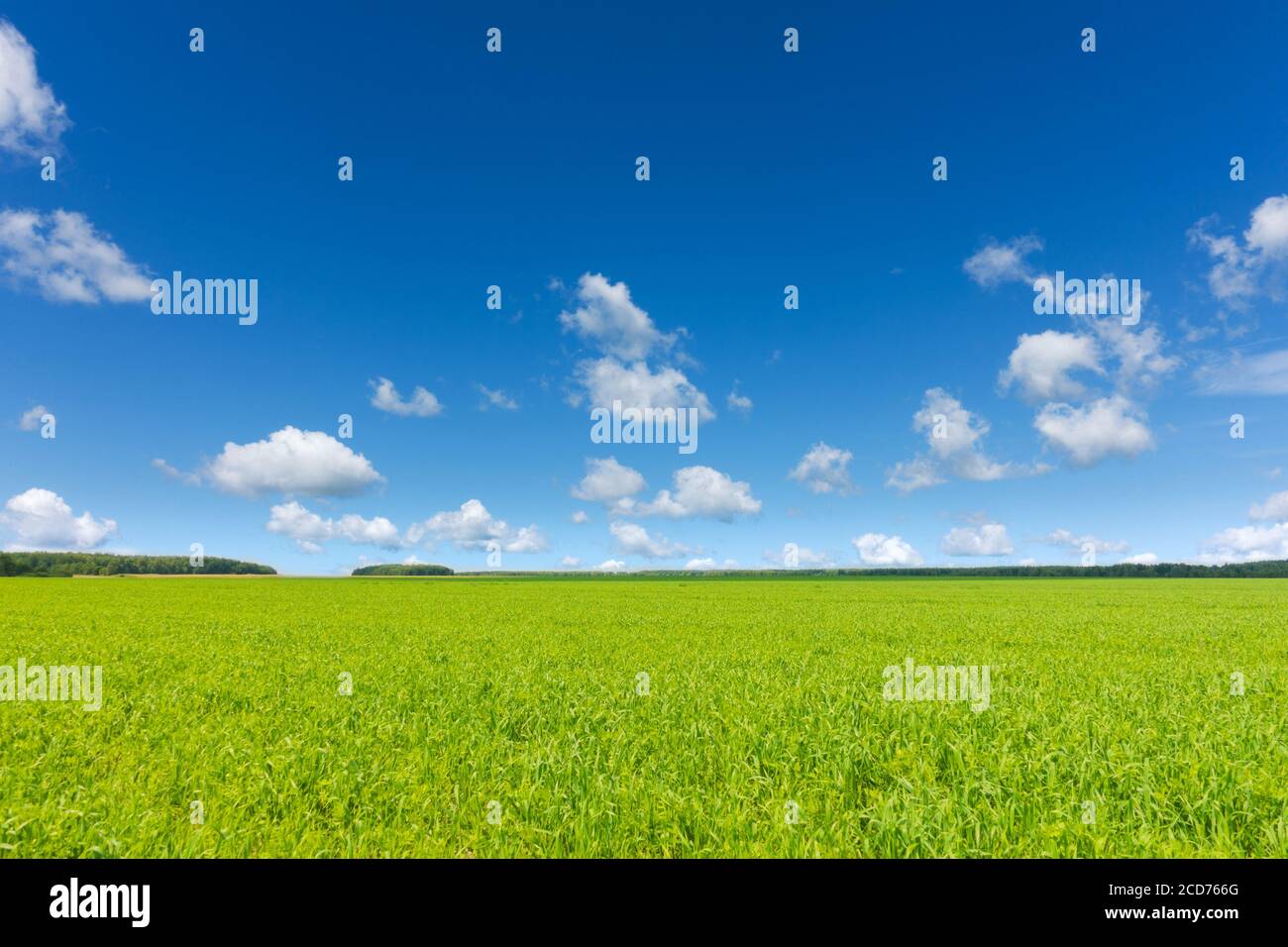 Schöne landwirtschaftlich idyllische Landschaft an schönen Tag. Stockfoto