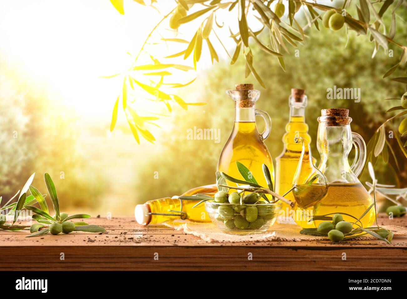 Glasbehälter mit Olivenöl auf Holztisch mit Ästen Und Oliven im Erntefeld voller Olivenbäume mit Sonnenschein Stockfoto