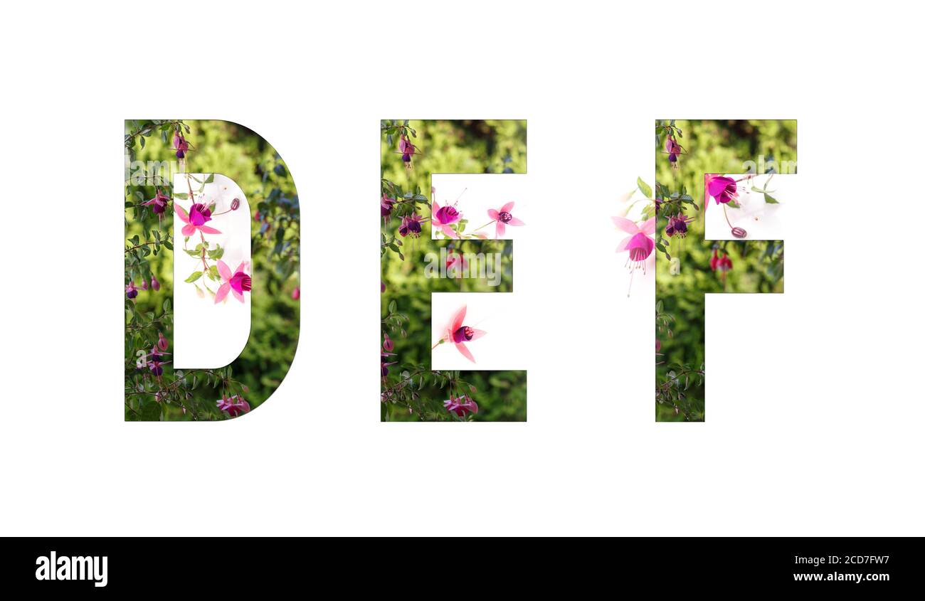Florales Alphabet, fuchsia, Buchstaben D E F floral, Konzept des Frühlings, Sommer Stockfoto