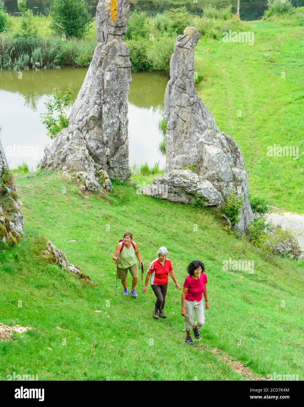 Eine Gruppe von Senioren, die eine entspannte Wanderung machen In schöner Landschaft Stockfoto