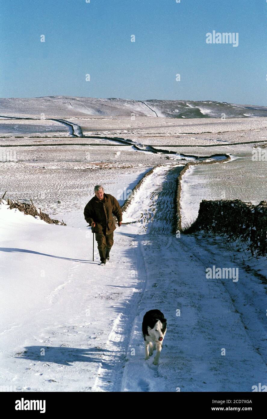 Farmer & Schäferhund zu Fuß die Spur im Winter Yorkshire UK Stockfoto