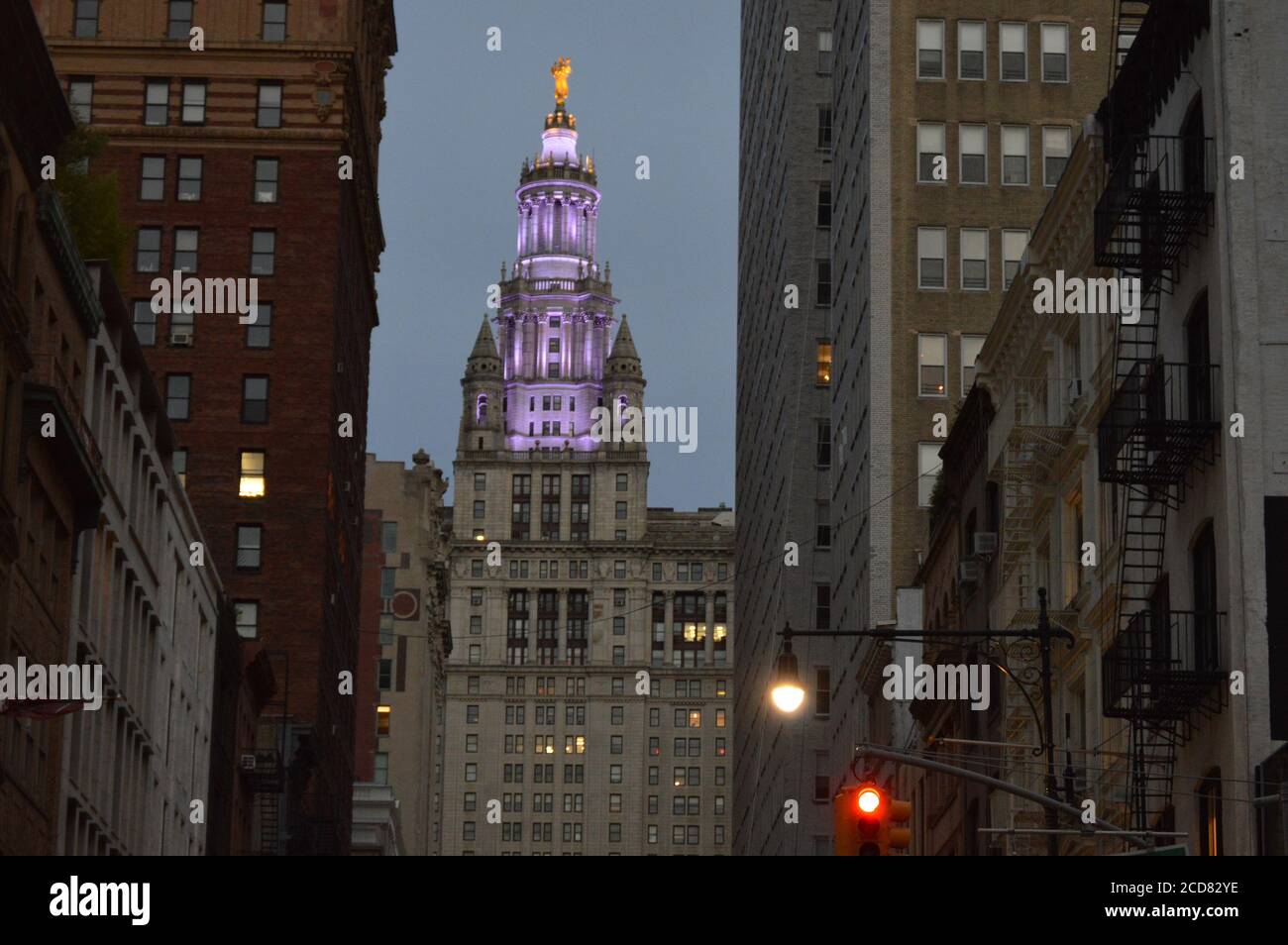 Das städtische Gebäude in New York City wurde zu Ehren des hundertjährigen Wahlrechts am Tag der Frauengleichheit (August 26,2020) violett beleuchtet. Stockfoto