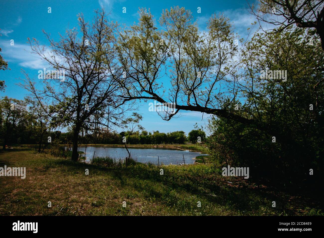 Landschaftsaufnahmen auf einer Gemeinschaftsfarm in Roanoke, Texas auf dem Land in der Sommersaison. Stockfoto