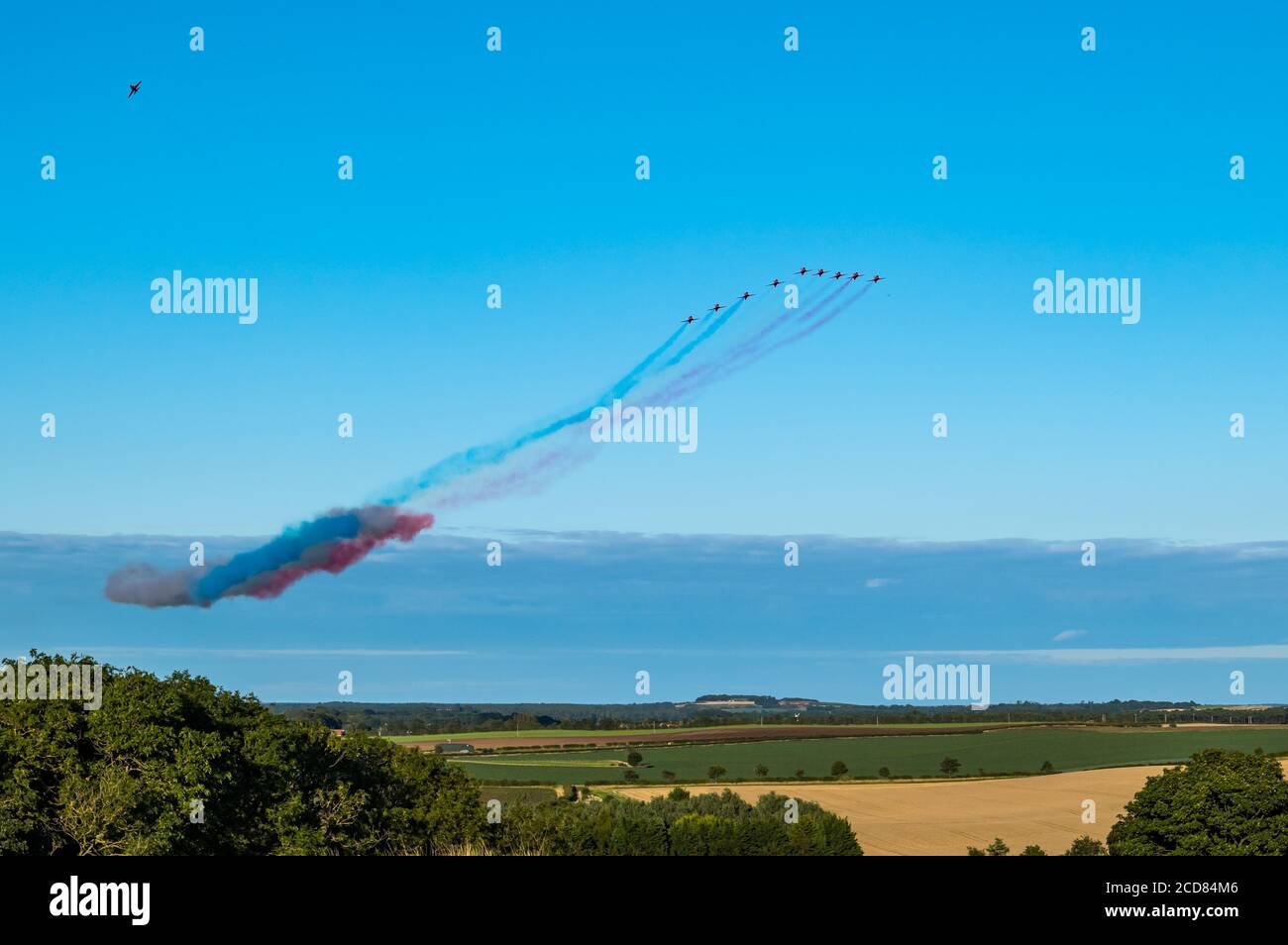 Das Royal Air Force RAF Aeronautics Display Team oder Red Arrows fliegen an einem sonnigen Sommertag über East Lothian mit klarem blauen Himmel, Schottland, Großbritannien Stockfoto