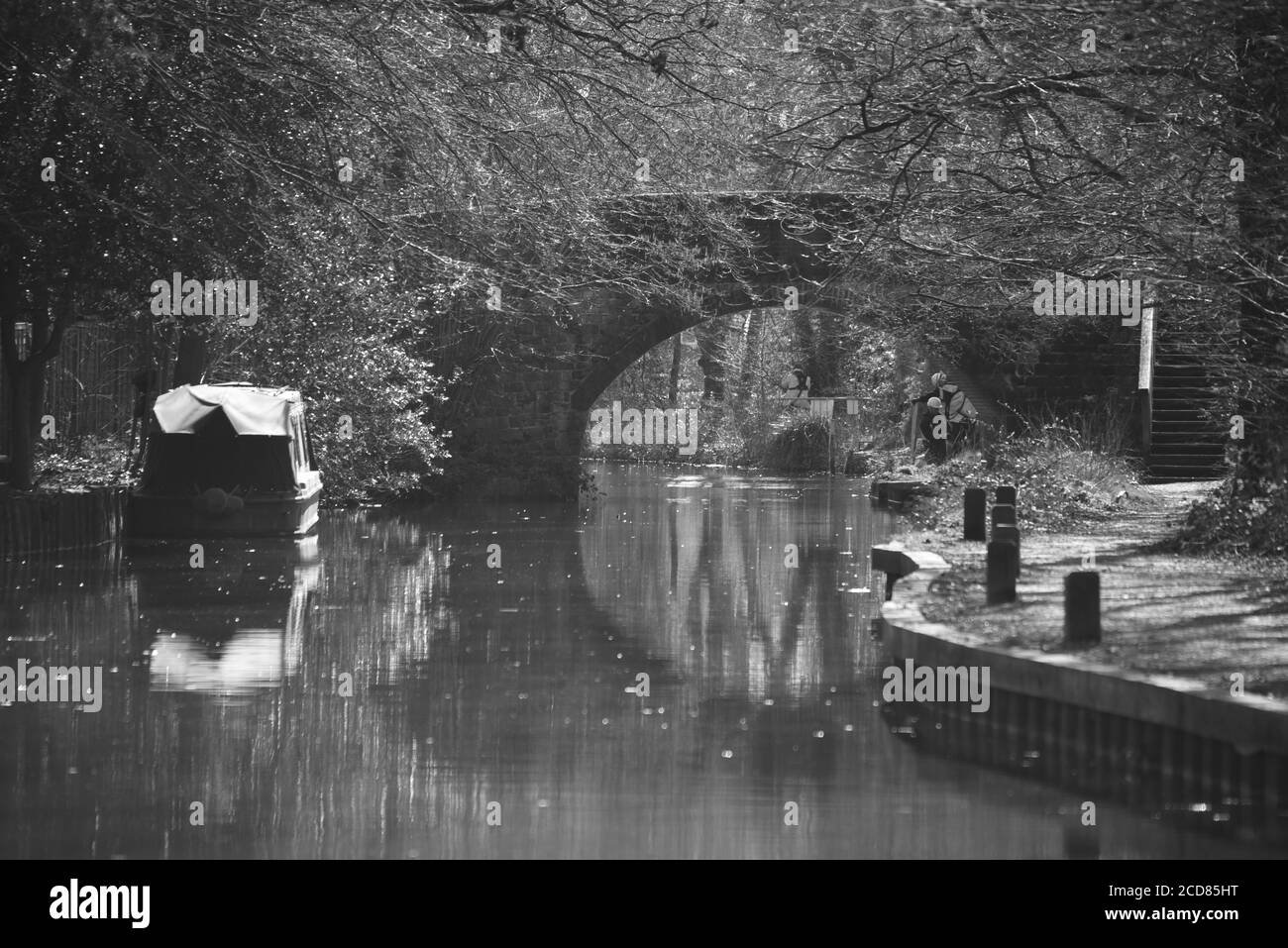 Reflexionen im Kanal in diesem ruhigen Schwarz-Weiß Foto aufgenommen am Basingstoke Canal in Mytchett Stockfoto
