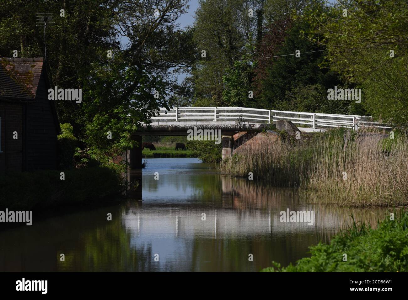 Eine Brücke reflektierte in den stillen Gewässern des Schönen Wey Navigation in Surrey Stockfoto