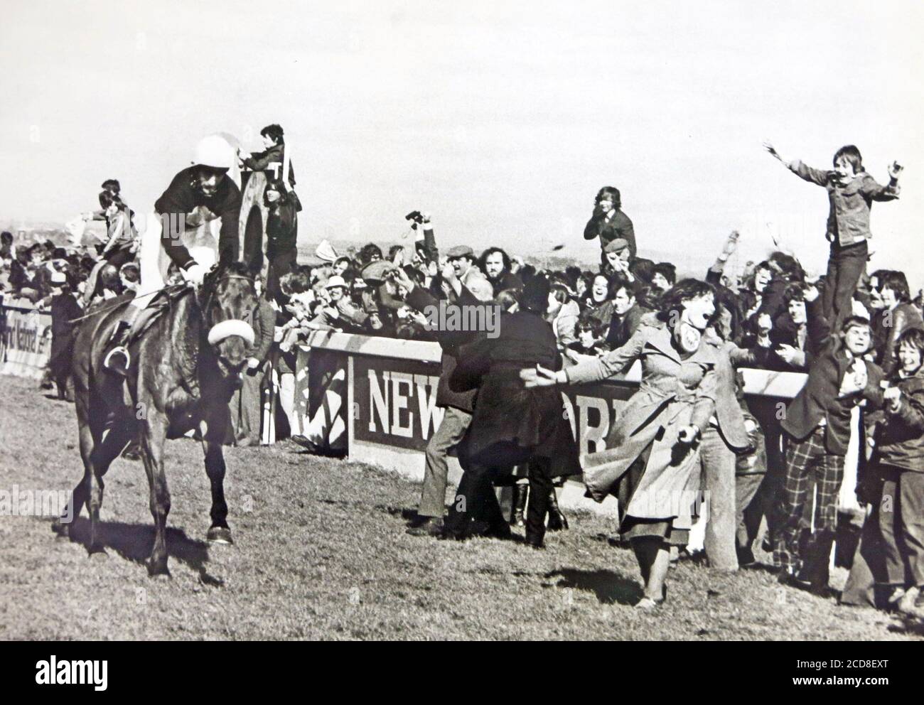Wonder Horse RED RUM gewann die Grand National Steeplechase 1977 zum dritten Mal, nachdem er die Veranstaltung in 1973 & 1974 gewonnen hatte. Riden von Jockey Tommy Stack, trainiert von Ginger McCaine und im Besitz von Noel Le Mare.. Stockfoto