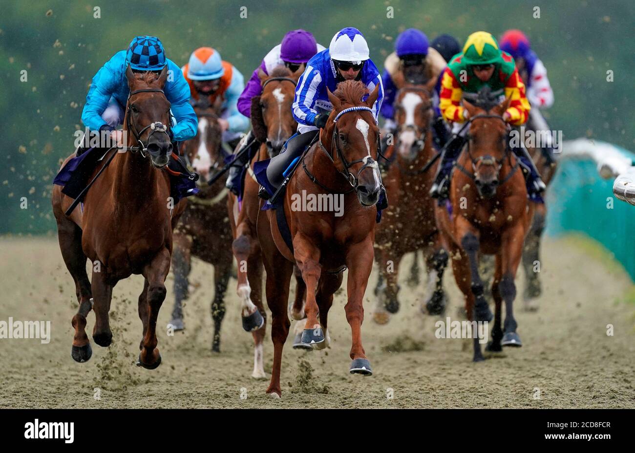 Premier Power mit Jockey Silvestre De Sousa (Mitte) auf dem Weg zum Gewinn der Betway Novice Stakes auf der Rennbahn Lingfield Park. Stockfoto