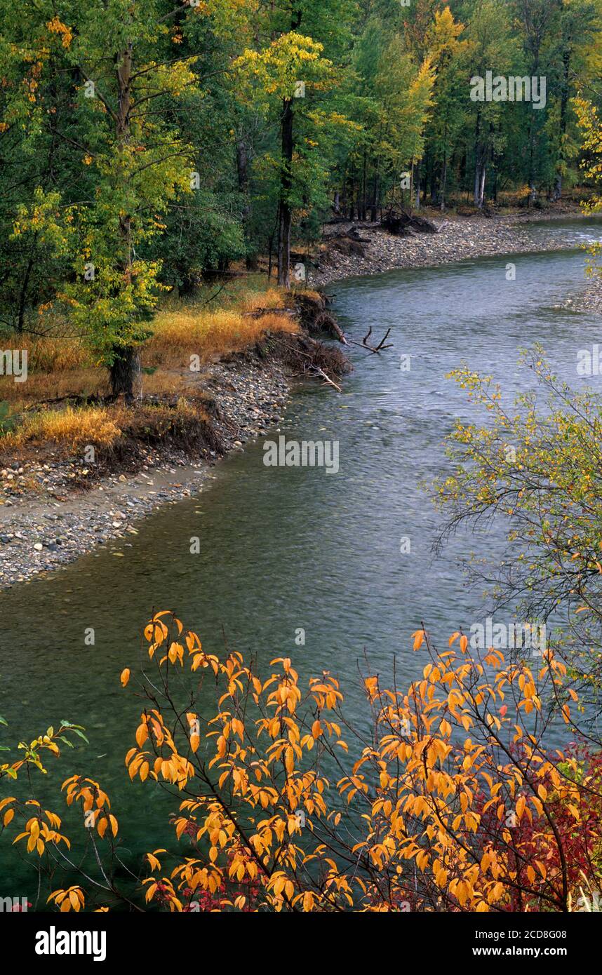 Methow River, Okanogan County, Washington Stockfoto