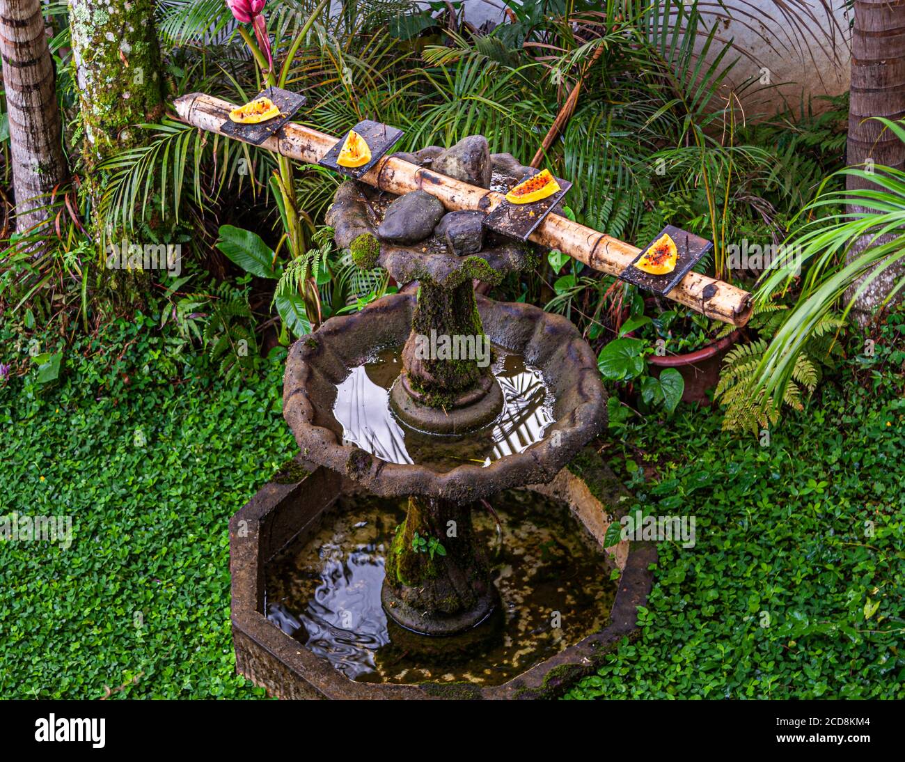 Verzierte und überwuchert Brunnen in Costa Rica Stockfoto