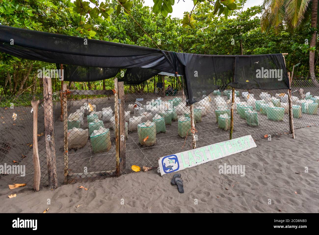 Brutery of Biosphere Citizen Scientist Project Camp zur Rettung von Meeresschildkröten in Reventazón, Costa Rica Stockfoto