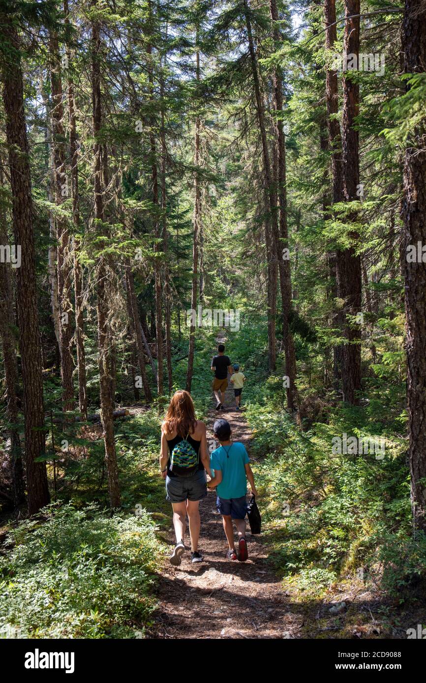 Kanada, Provinz Quebec, Mauricie Region, Saint-Maurice Wildlife Sanctuary nördlich des La Mauricie National Park, Wanderweg zu den Windfällen nördlich des Soucis Lake, Mutter und zwei Kinder MODEL RELEASE OK Stockfoto