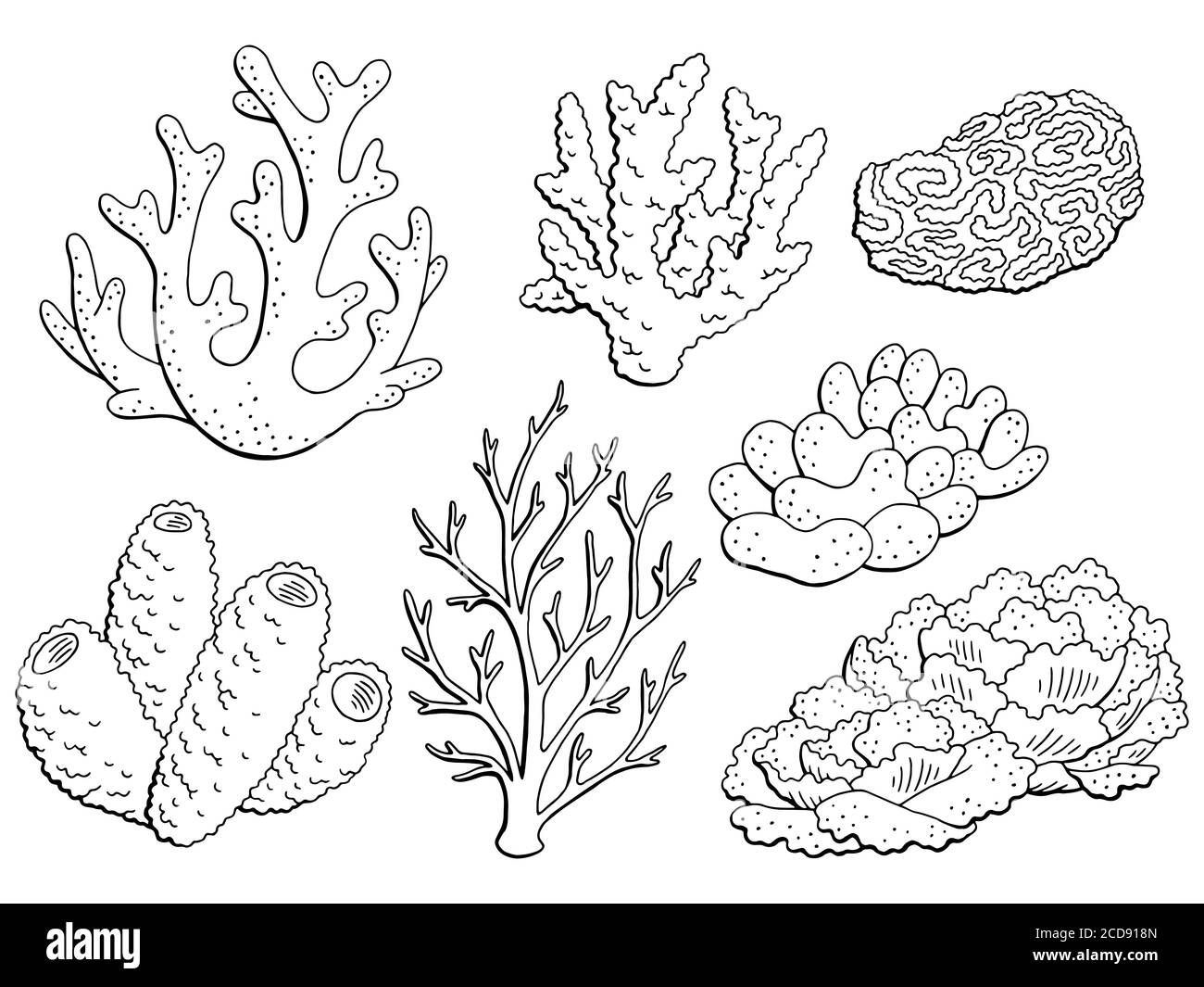 Coral Set Grafik schwarz weiß isoliert Skizze Illustration Vektor Stock Vektor