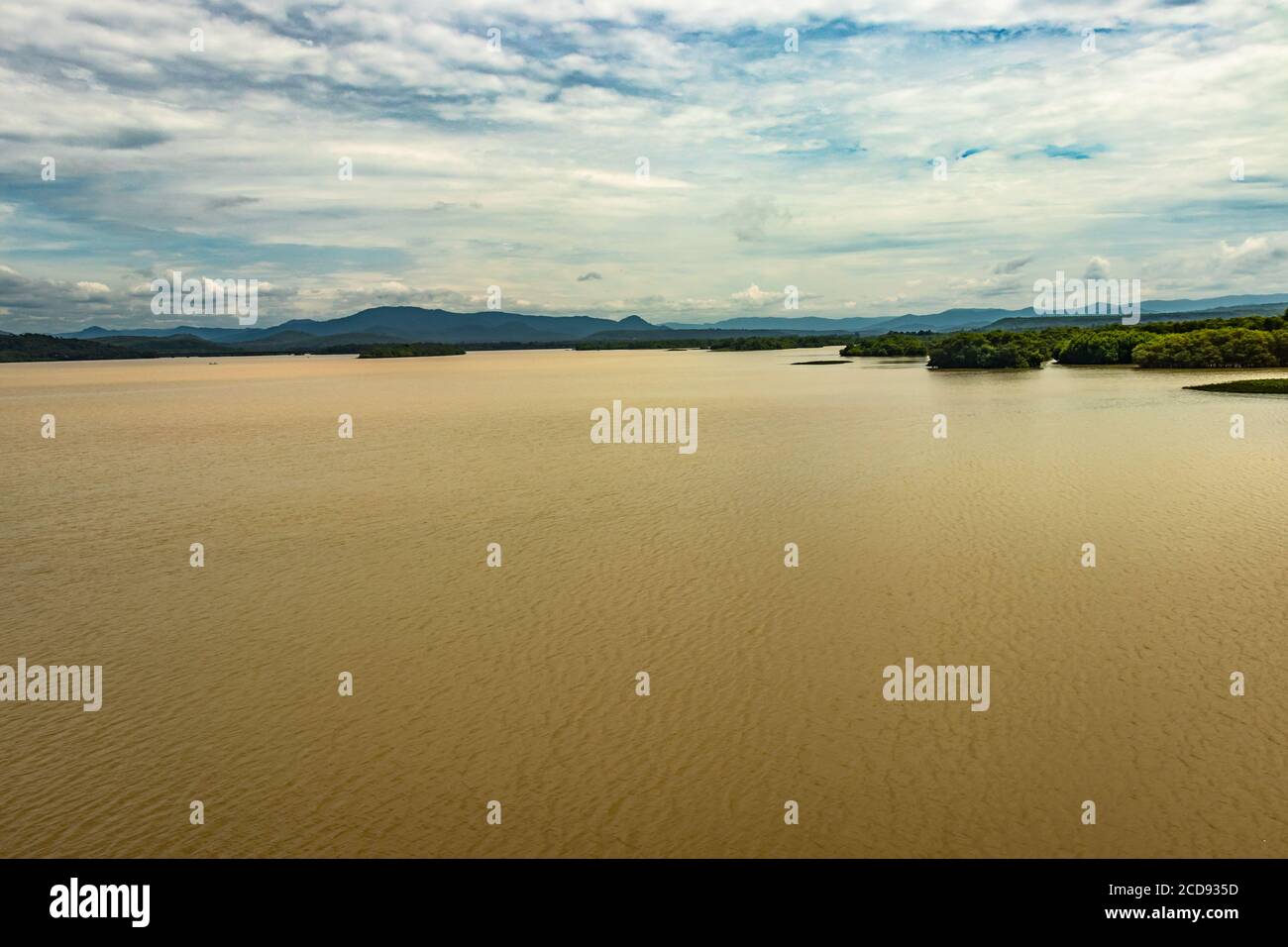 Flusshinterwasser mit Mangrovenwäldern und hellen Himmel Bild wird am Morgen zeigt die ruhige Schönheit der Natur aufgenommen. Stockfoto