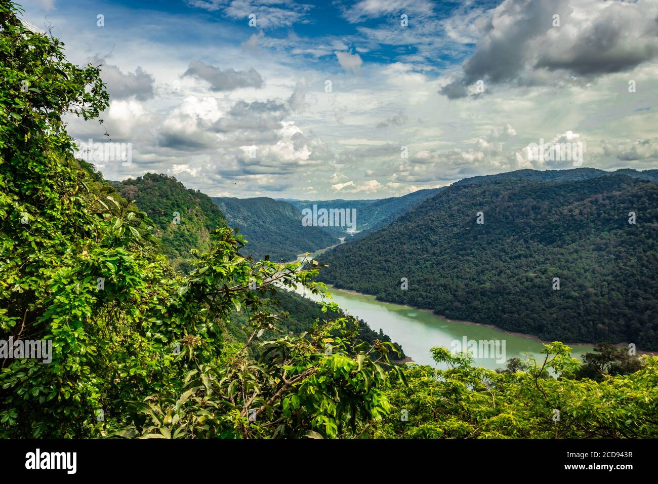 western Ghat erstaunlich dichtes Grün mit führenden Fluss Bild ist bei karnataka indien aufgenommen. Es ist voll mit westlichen Ghat Wälder bedeckt. Stockfoto