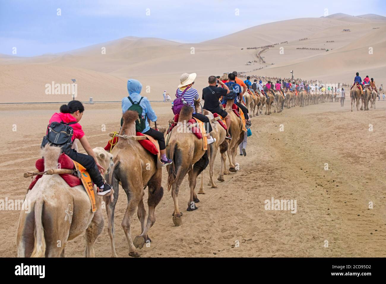 Chinesische Touristen reiten auf Kamelen während einer geführten Kamelritt-Exkursion in den Sanddünen der Hami-Wüste, Teil der Gobi-Wüste in Xinjiang, China Stockfoto