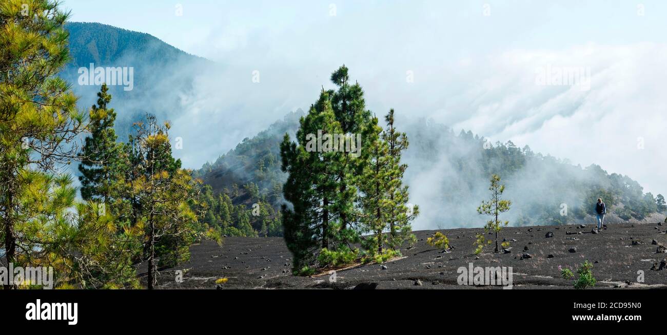 Spanien, Kanarische Inseln, La Palma, Wanderer auf einem Weg in üppigem Grün in einer bergigen und vulkanischen Umgebung Stockfoto